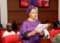 Natasha’s Recall: We Received 6 Bags Of Over 237,000 Signatories Without Contact Details – INEC