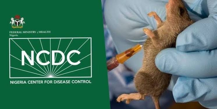 Health Workers Affected In Ondo, Ogun As Lasa Fever Spreads To 31 Other States