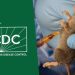 Health Workers Affected In Ondo, Ogun As Lasa Fever Spreads To 31 Other States