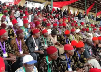 Your Cowardice Is Unacceptable, Act Now Or Risk State Of Emergency – Ohanaeze Warns Southeast Gov’nors