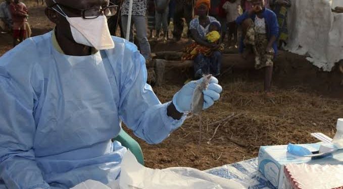 Nigeria’s Lassa Fever Death Toll Hits 127 As Taraba, Ondo Maintain Lead