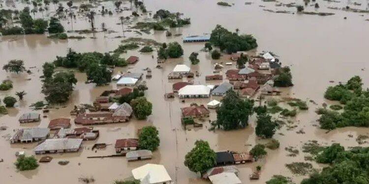 Death Toll From Niger Flood Disaster Hits 115