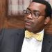 Akinwumi Adesina: When The AfDB President Talks Like Politician Peter Obi