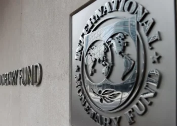 IMF Loan Repayment: Tinubu ‘Seyi’