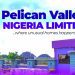 Ogun Govt Okays Seven Additional Buildings For Pelican Valley 