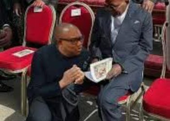 Political Requiem For Peter Obi 