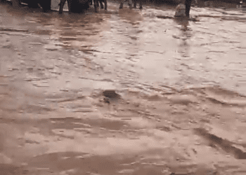 Ogun Residents Groan Over Abandoned Project, Flooded Road
