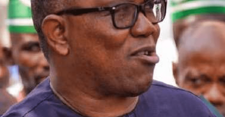 LP Crisis: Factional Chairman Okafor Quits Party, Says Can’t Lead Nigeria