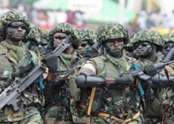 Tinubu Okays Recruitment Of Armed Guards To  Reclaim Forests From Criminal Elements