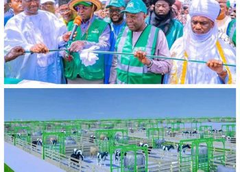 FG Gives N60B To Gombe For Agro-Livestock Industrial Zone