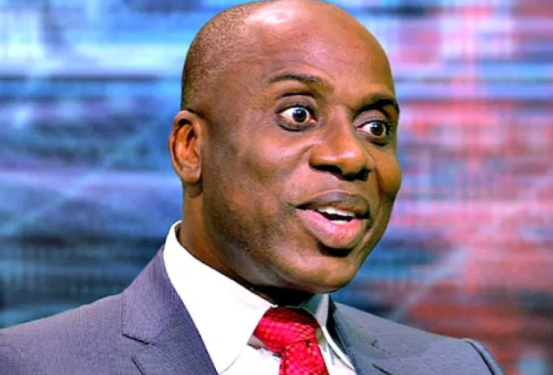 We’re Not Looking For People Like Amaechi – Ohanaeze Ndigbo Knocks Ex – Governor