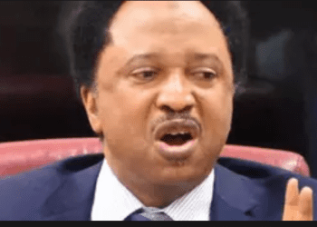 2027: Coalition To Unseat Tinubu, APC Already Doomed – Shehu Sani