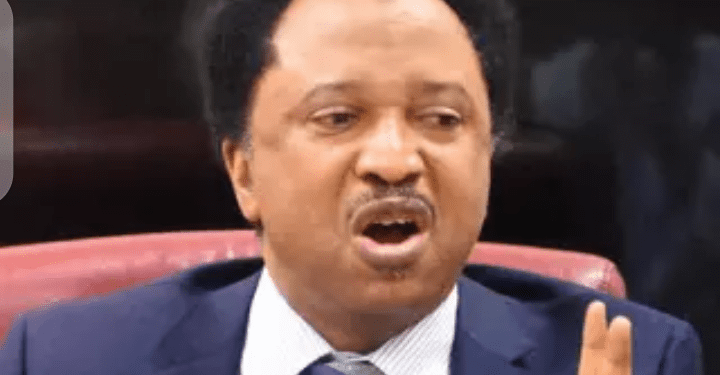 2027: Coalition To Unseat Tinubu, APC Already Doomed – Shehu Sani