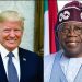 A Fictional Report Of Tinubu, Trump’s Meeting At The White House