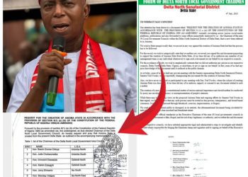 Crisis Hits Anioma State Creation Initiative Of Senator Ned Nwoko
