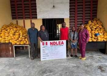 NDLEA Intercepts Saudi, UK-Bound Cocaine In Lipsticks, Property Title Documents