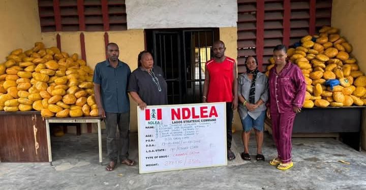 NDLEA Intercepts Saudi, UK-Bound Cocaine In Lipsticks, Property Title Documents