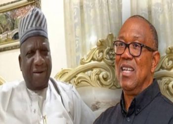 Northerners Won’t Trust Peter Obi To Use One Term If Elected President – Sani