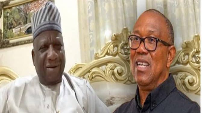 Northerners Won’t Trust Peter Obi To Use One Term If Elected President – Sani