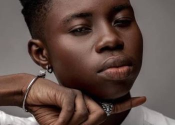 Peller and Nigeria’s Tragic Reversal: Crooks in Office, Scholars in Shame, the joke is on us!