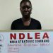 NDLEA Arrests Lagos Businesswoman Over Intercepted Cocaine, Other