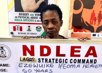 NDLEA Arrests Widow Using Fake Pregnancy To Traffic Cocaine