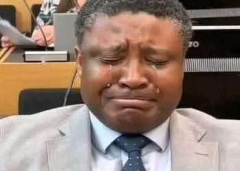 Nigerian-Finnish Association President, Senator Gbenga Daniel, Hails Finland’s Ekpa Conviction