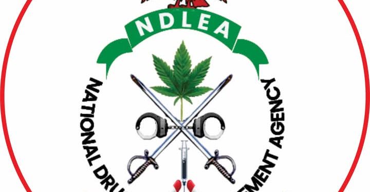 NDLEA Smashes Drug Cartel, Arrests 3 Kingpins