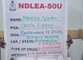 NDLEA Arrests 2 Drug Lords, Recovers Cocaine, Heroin, Meth In Lagos Homes