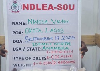 NDLEA Arrests 2 Drug Lords, Recovers Cocaine, Heroin, Meth In Lagos Homes