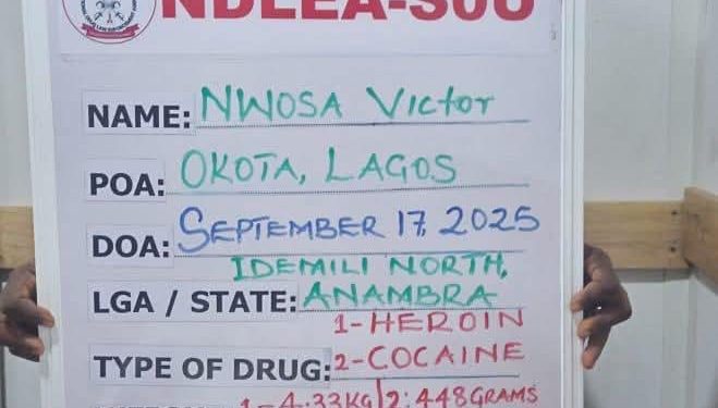 NDLEA Arrests 2 Drug Lords, Recovers Cocaine, Heroin, Meth In Lagos Homes