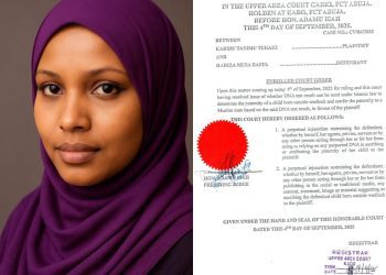 Court Perpetually Bars Hadiza Baffa From Claiming ex-Minister Fathered Her Child, Dismisses DNA Test