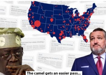 The Log In America’s Eye