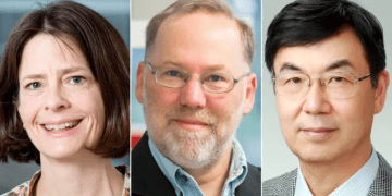 3 Scientists Win 2025 Nobel Prize In Medicine For Unraveling How Immune System Is Kept In Check