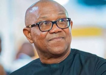 Defection: Southeast Not Captured – Peter Obi