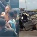 Tinubu Comforts Anthony Joshua, Mother After Tragic Accident In Ogun
