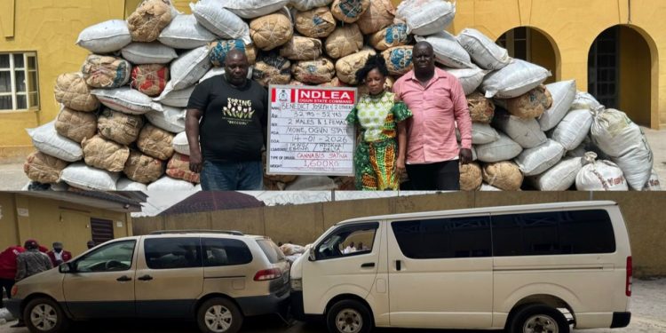 Ogun: NDLEA Intercepts 1.6tons Of Cannabis In Major Blow To Drug Trafficking Networks