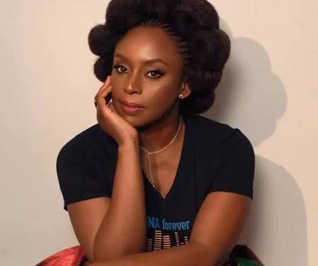 Governor Sanwo-Olu, NMA Order Investigation Into Chimamanda’s Son’s Death 