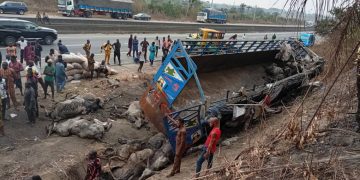 Six Die, 23 Injured As Truck Carrying Cattle, Passengers Crashes Along Lagos – Ibadan Expressway 