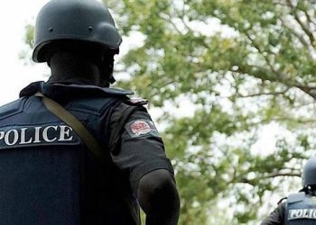 Police Stop Distraught Man From Plunging Into Lagos Lagoon