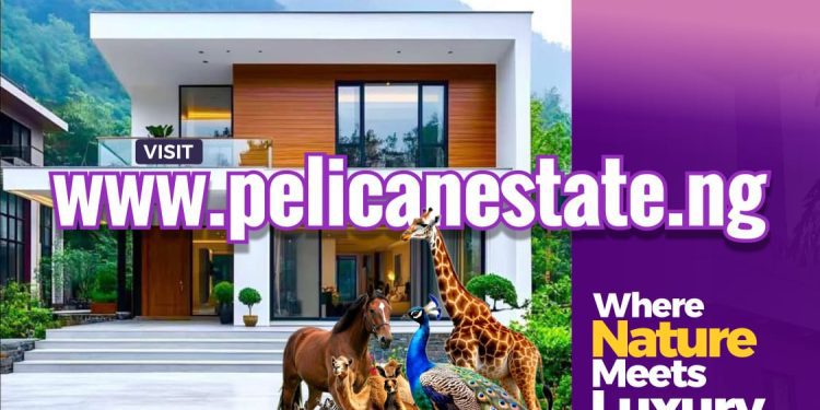 Pelican Valley Moves To Review Property Prices, Assures Investors Of Lasting Value