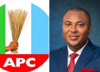 NASS 2027, APC: Stakeholders Reject ‘One-Zone Dominance,’ Demand Fair Ticket For Ika Reps Seat