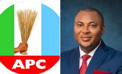 NASS 2027, APC: Stakeholders Reject ‘One-Zone Dominance,’ Demand Fair Ticket For Ika Reps Seat