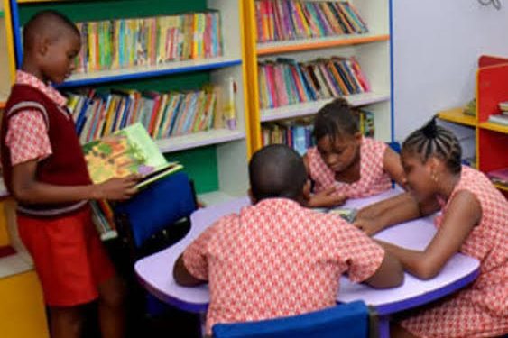 Ogun Makes Reading a Compulsory Subject In Schools