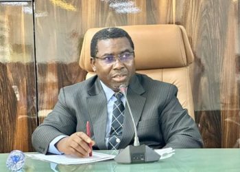 ADC Spokesman Demands INEC Chair’s Resignation Over Alleged Partisan Post