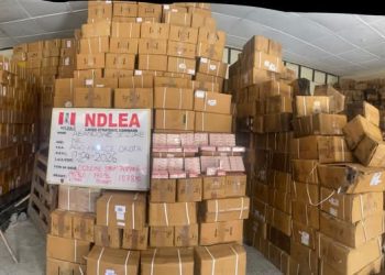 NDLEA Busts Lagos Drug Warehouses, Recovers ₦16,9bn Worth of Opioids