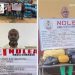 93-Year-Old Great-Grandfather, Medical Doctor Arrested For Cocaine, Skunk Trafficking