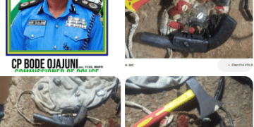 Police Bust Suspected Cult Gang in Ogun, Recover Weapon, Stolen iPhone