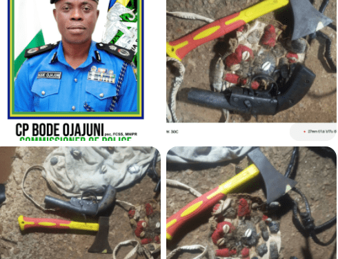 Police Bust Suspected Cult Gang in Ogun, Recover Weapon, Stolen iPhone