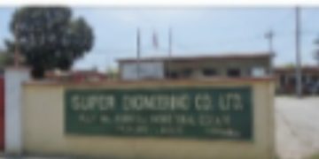 Sacked Worker Slams Engineering Firm With N22.3m Claim, Alleges Victimisation Over Union Activities